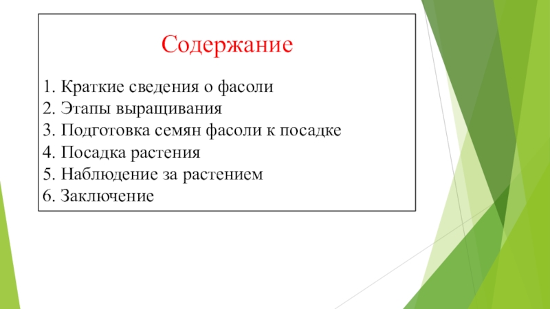 Проект фасоль 3 класс окружающий мир