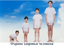 Презентация по биологии на тему Глаза (8 класс)