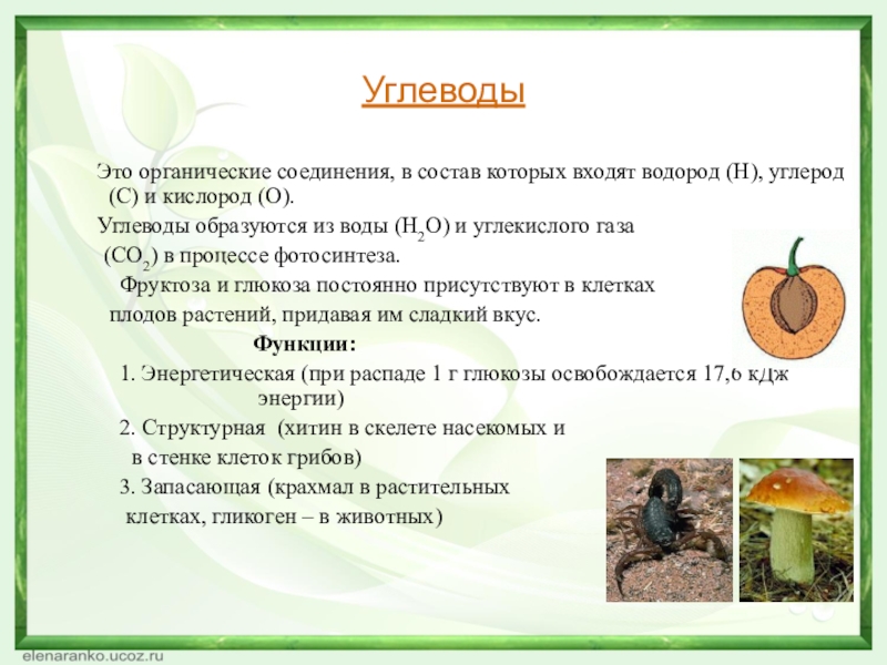 Углеводы   Это органические соединения, в состав которых входят водород (Н), углерод (С) и кислород (О).