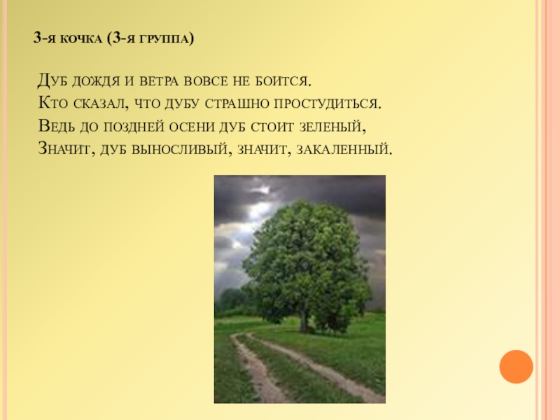 Загадка стоит дуб. Дуб дождя и ветра вовсе не боится. Значит дуб выносливый значит. Дуб дождя и ветра. Дуб дождя и ветра вовсе не боится синонимы.