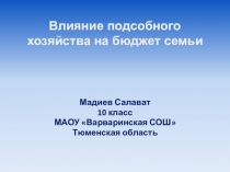 Влияние ЛПХ на бюджет семьи