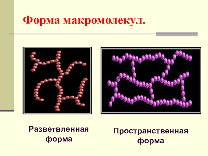 Роль макромолекул в человеческом организме презентация