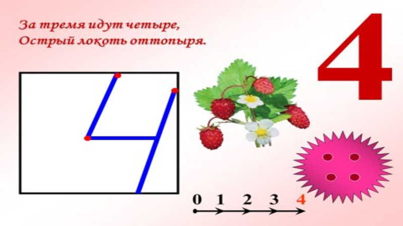 Проект по математике 1 класс про цветы