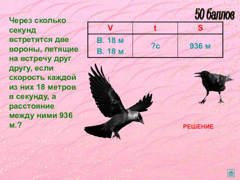 Средняя скорость полета птиц. Скорость ворона. Скорость птицы вороны. С какой скоростью летают вороны. Ворона летит.