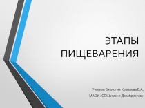 Презентация Этапы пищеварения биология 8 класс