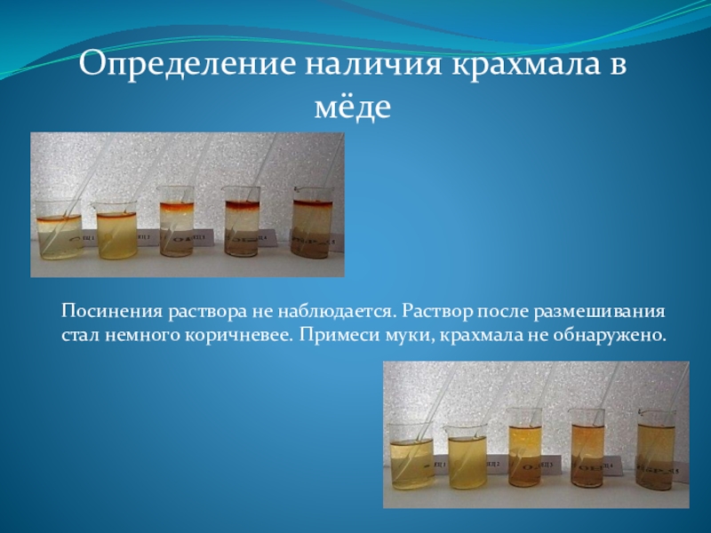 Исследовательский проект свойства натурального меда определение примесей в меде биология 8 класс