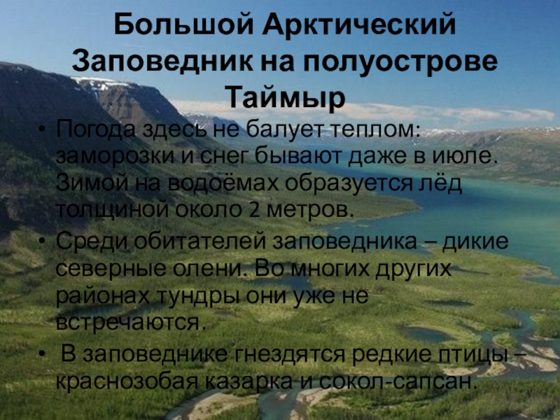 Какие заповедники в тундре. Заповедники тундры. Большой Арктический заповедник презентация. Самые крупные заповедники России. Заповедники и национальные парки тундры России.