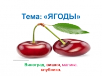 Презентация по изо. Тема Рисование ягод пальчиками. Гуашь.