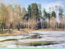 Презентация ИЗО Тема: Деревья урока