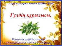 Тақырыбы: Гүл құрылысы 8-сынып