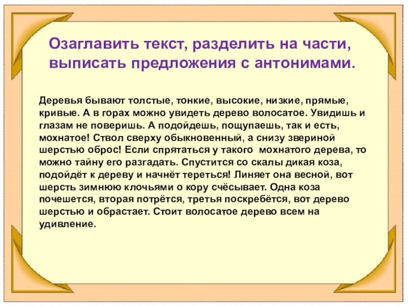 Для чего нужно делить текст. Текст с антонимами. Предложения с антонимами. Сочинение с использованием антонимов. Текст с использованием антонимов.