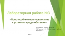 Лабораторная работа №3. Приспособленность организмов к условиям среды обитания.