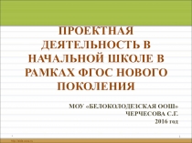 Презентация проектная деятельность в начальной школе