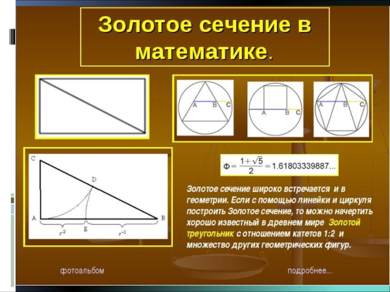 Золотая пропорция в математике проект