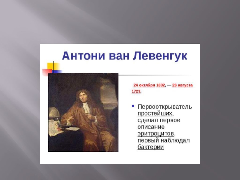 Антони Ван Левенгук. Антони Ван Левенгук открытия. Антони Ван Левенгук вклад в развитие биологии. Левенгук вклад в биологию.