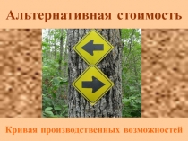 Урок презентация Альтернативная стоимость