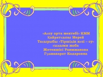 ПрезентацияСу-тіршілік көзі ғылыми жоба