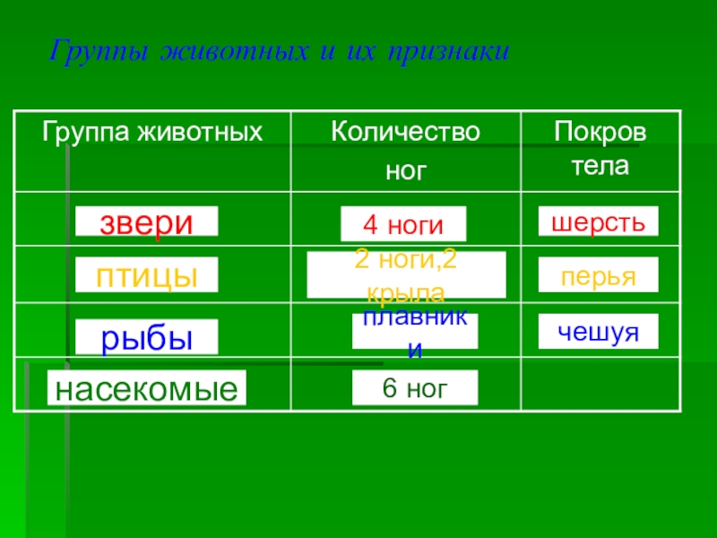 Какие бывают группы презентация