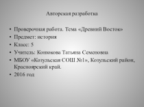 Проверочная работа по истории на тему Древний Восток (5 класс)