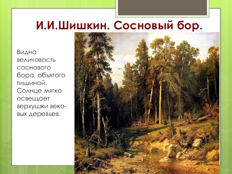 Презентация сочинение по картинам. Шишкин Сосновый Бор картина. Шишкин Сосновый Бор 1872. Шишкин Сосновый Бор описание картины. Шишкин в Сосновом Бору план.