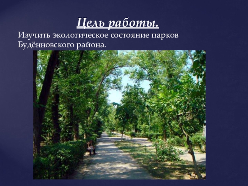 Экологический проект Парки Будённовского района