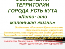 Проект по озеленению города