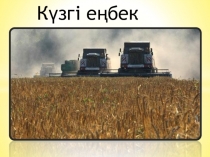 Презентация по казахскому языку по теме Күзгі еңбек