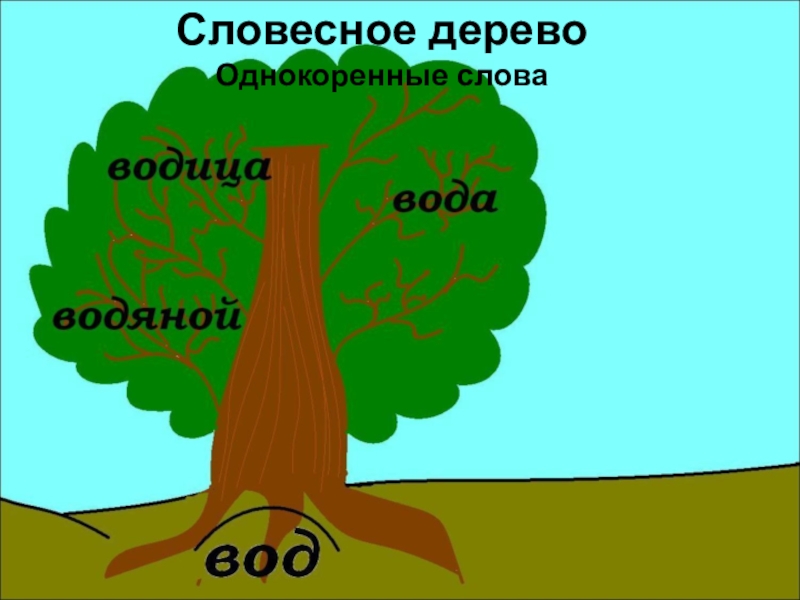 Trees текст. Дерево с однокоренными словами. Словесное дерево с однокоренными словами. Дерево с однокоренными словами рисунок. Дерево однакореные Сова.