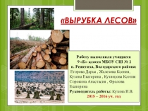 Информационная презентация по теме: Вырубка лесов (значение леса, его использование, ущерб и меры по спасению леса)