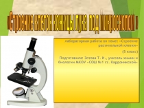 Презентация: Строение растительной клетки Выполнение лабораторной работы.