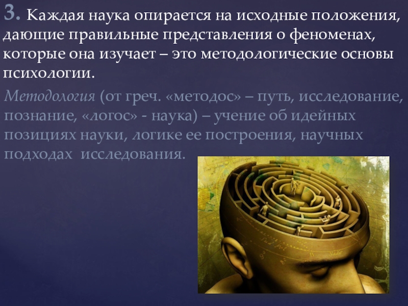 Наука опирается на. Феномены представления в психологии. На что опирается наука. Археогенетика – это наука, опирающаяся на. Психология опирается на какую науку.