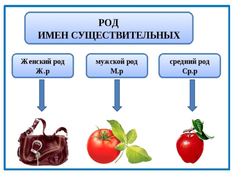 Презентация 3 класс род имен существительных иноязычного происхождения