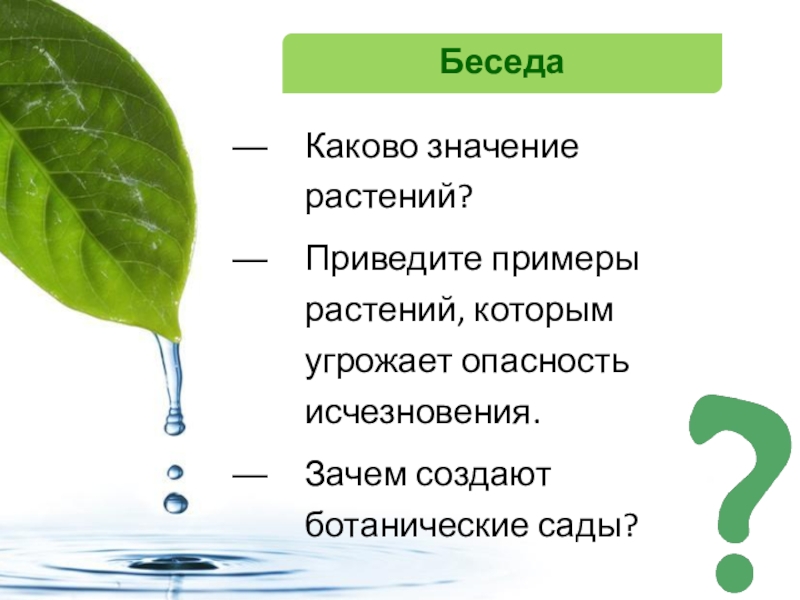 Каково значение цветов. Каково значение цветка. Приведи 2 примера растений. Каково значение цветка для растений.