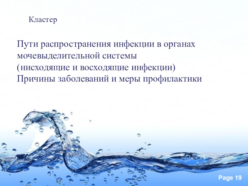 Презентация 8 класс предупреждение заболеваний почек питьевой режим презентация