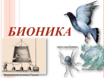 Презентация к конференции Бионика