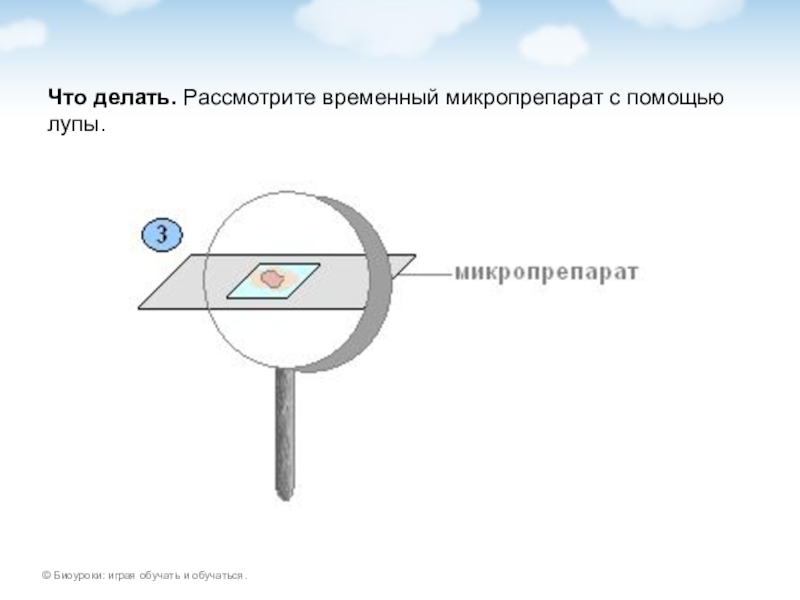 С помощью лупы на стене получили изображение картинки с экрана мобильного телефона тех же размеров