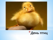 Рабочая программа элективных курсов по биологии 10 - 11 класс