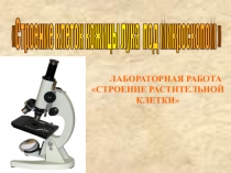 Презентация по биологии Строение клетки 5 класс