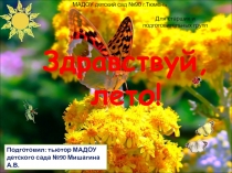 Здравствуй, лето! для детей старших и подготовительных групп ДДУ
