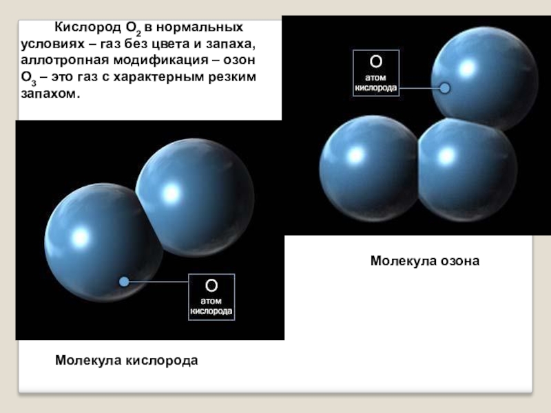 Кислород относится к элементам. Кислород о2. Нормальные условия для кислорода. Кислород ГАЗ без цвета и запаха. Молекула кислорода.