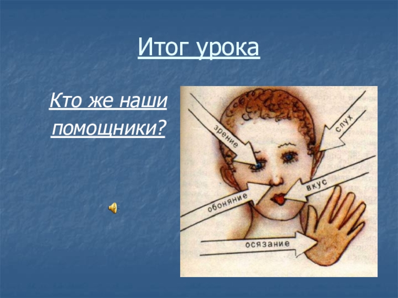 2 органа чувств. Презентация органы чувств 2 класс. Занятие наши помощники органы чувств. Органы чувств 2 класс окружающий. Органы чувств 2 класс окружающий мир.