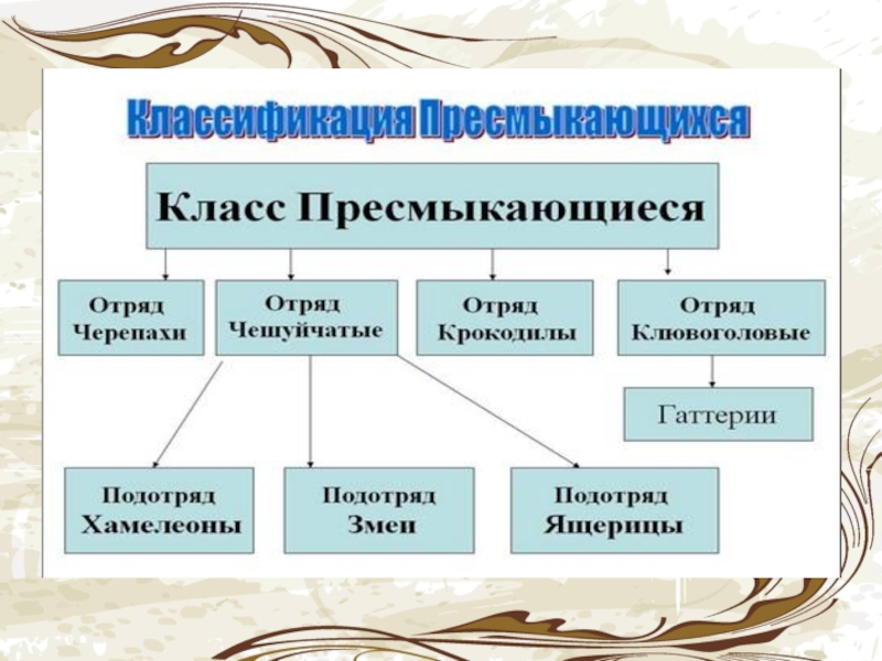 Реферат 7 класс