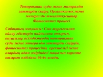 Презентация биология пәнінен тақырыбы: Топырақтан суды және минералды заттарды сіңіру. Органикалық және минералды тыңайтқыштар. Фотосинтез процесі
