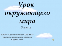 Окружающий мир 3 класс