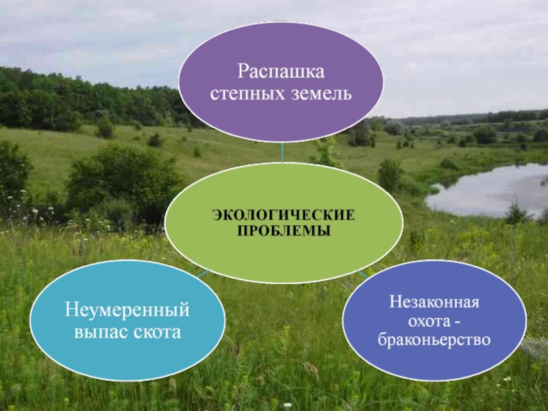 Презентация по окружающему миру 4 класс экологические проблемы