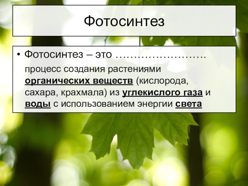 Значение фотосинтеза в природе биология 6 класс. Фотосинтез это процесс создания органических веществ. Фотосинтез это в биологии. Фотосинтез основной процесс растений. Пример фотосинтеза в растений 6 класс.