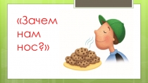 Презентация по валеологии - Зачем нам нос? (средняя группа)