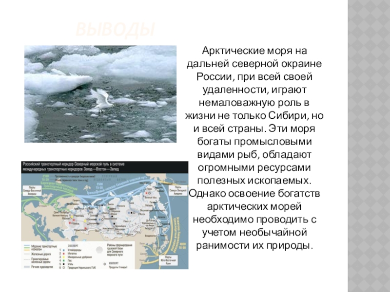 Доклад от южных морей до полярного края