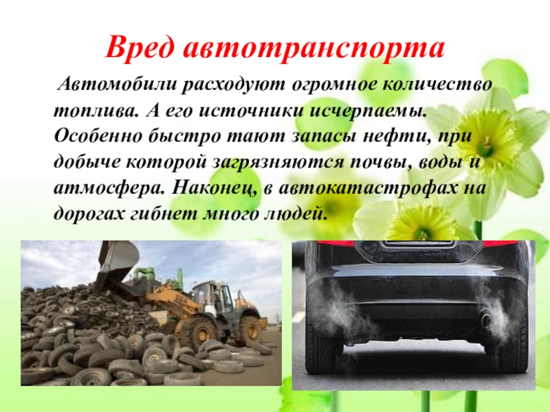 Вред бензина на окружающую среду. Вред транспортному средству. Воздействие автомобильного транспорта на почву. Влияние автотранспорта на животный мир. Предложите способы снижения вреда от автомобильного транспорта.