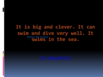 : Мир животных